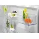 Холодильник з морозильною камерою Electrolux ENT6NE18S фото 6