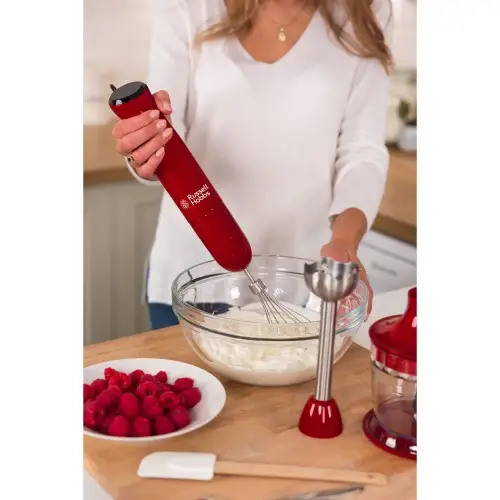 Занурюваний блендер Russell Hobbs 24700-56