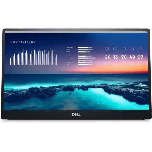 Портативный монитор Dell P1424H (210-BHQQ)