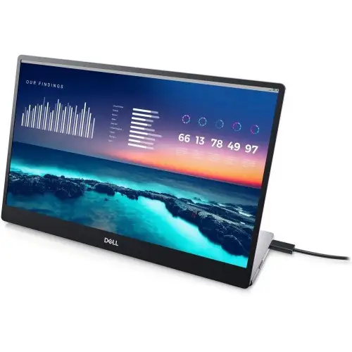 Портативный монитор Dell P1424H (210-BHQQ)